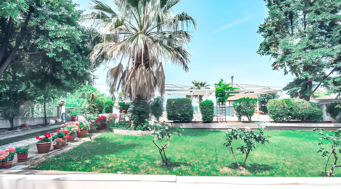 Seafront Property Evia for sale, Euboea Greece 1