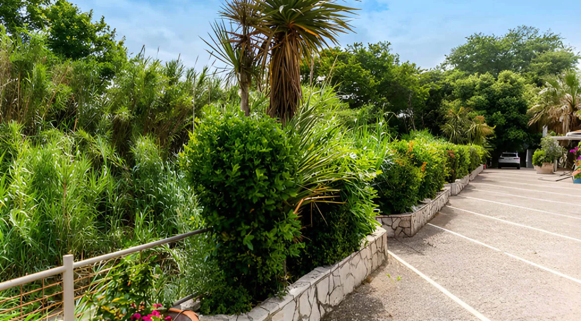 Seafront Property Evia for sale, Euboea Greece 6