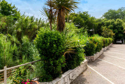 Seafront Property Evia for sale, Euboea Greece 6