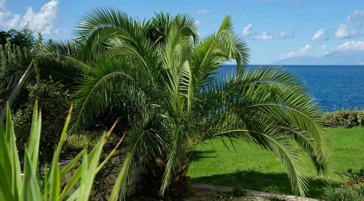 Waterfront Villa for Sale Kassiopi Corfu 18