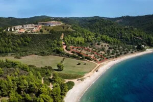 Farm parcel for sale Pallini