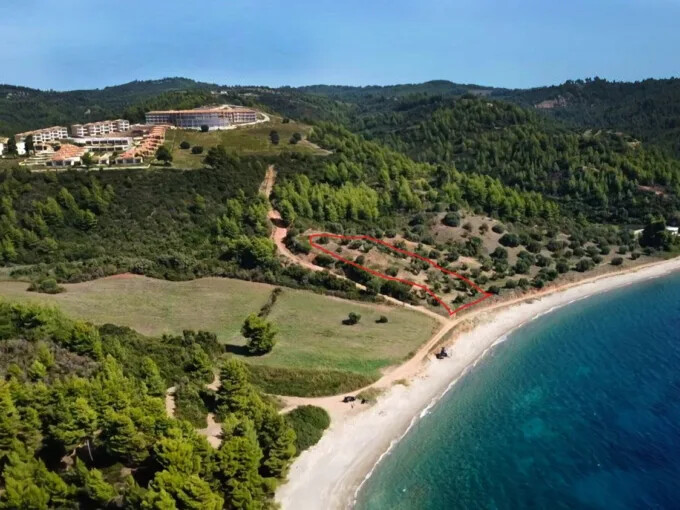 Farm parcel for sale Pallini