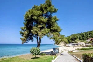 House for sale Elani Halkidiki