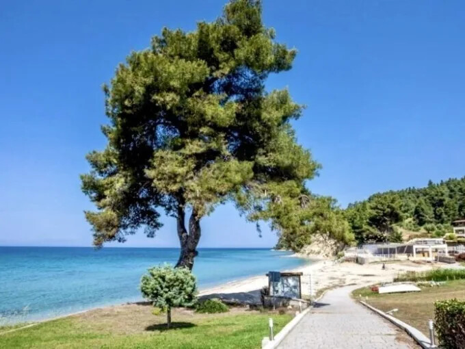 House for sale Elani Halkidiki
