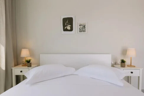 Modern 3-Bedroom Villa for Sale in Naxos 20