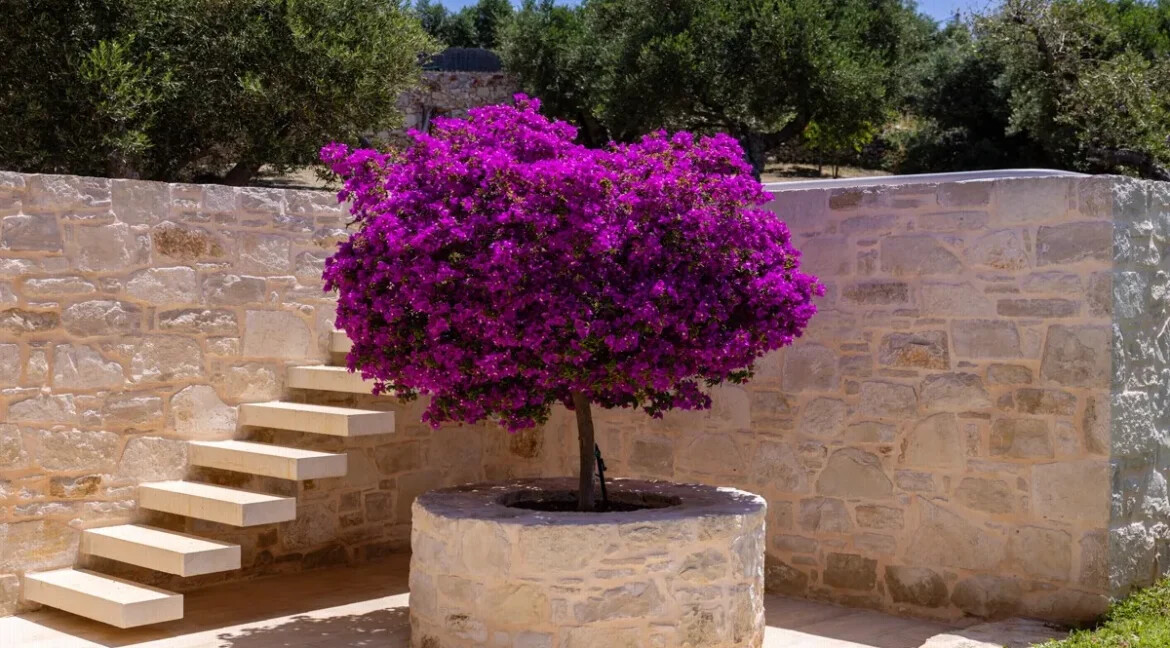 Luxury Villas for sale in Crete 4