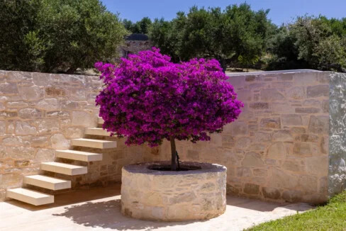 Luxury Villas for sale in Crete 4