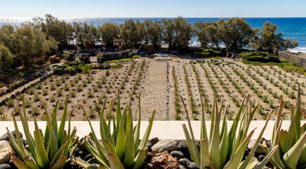 Seafront Villa for Sale Santorini