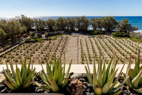 Seafront Villa for Sale Santorini