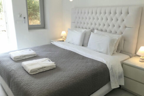 Traditional Eco-Inspired Villa for Sale in Santorini 11