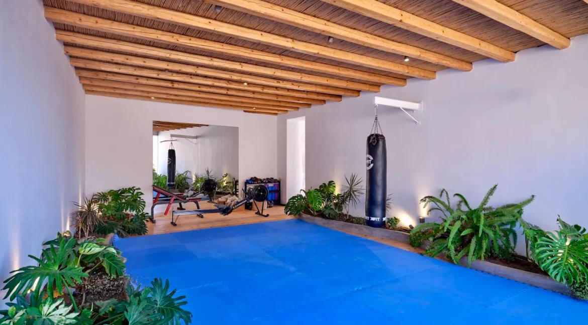 Elegant Villa for sale Mykonos 7