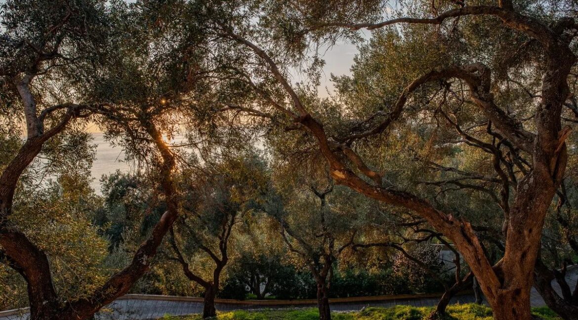 Cliff-Top Smart Villa for Sale in West Corfu 4