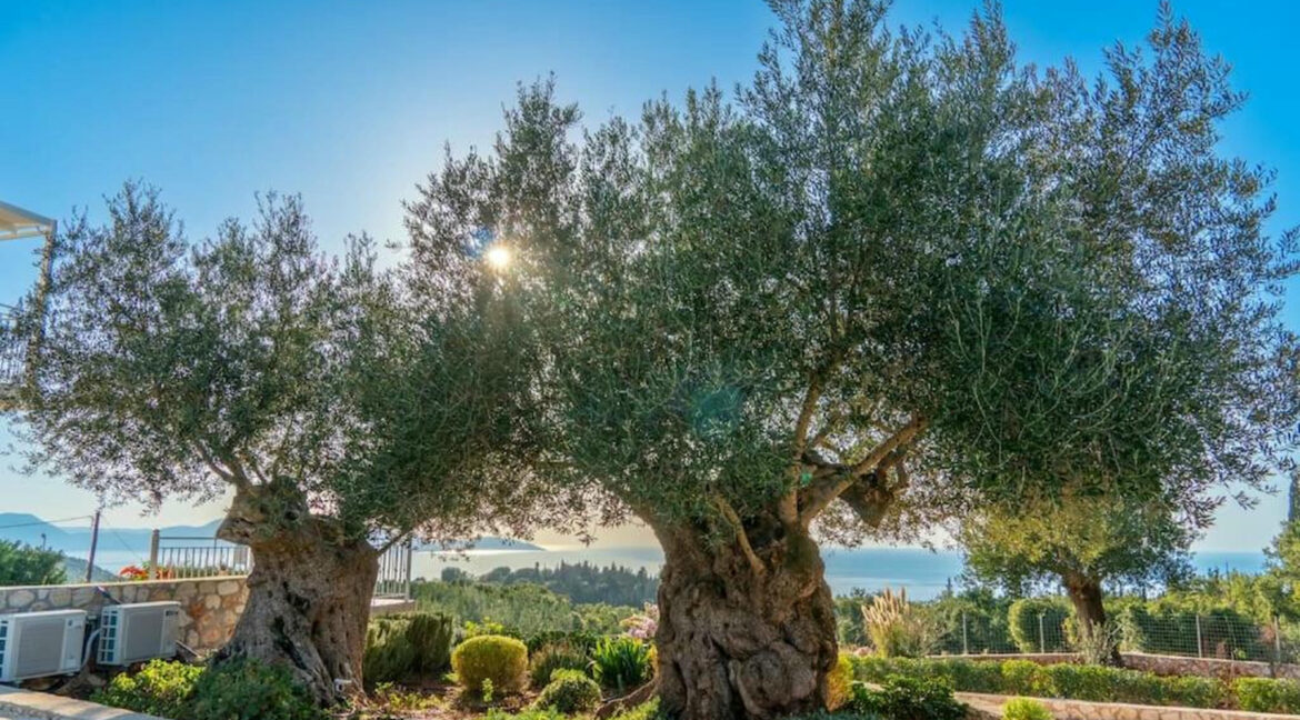 Luxury Villa for Sale Kefalonia Ionio 16