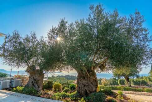 Luxury Villa for Sale Kefalonia Ionio 16