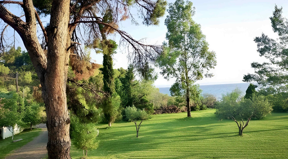 Beachfront Villa with Direct Sea Access for Sale in Sithonia 7