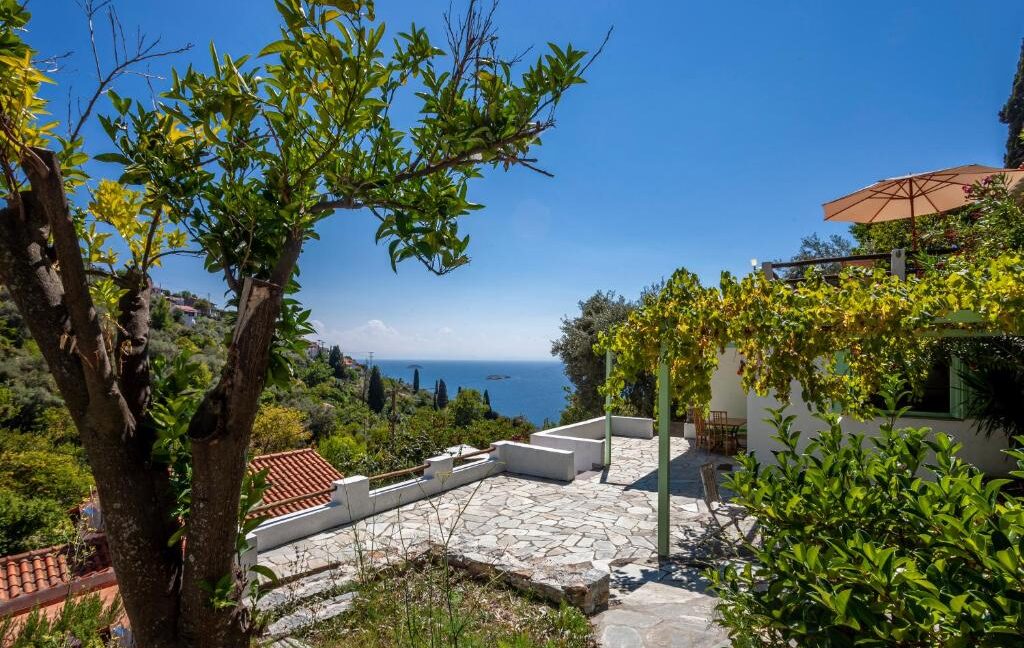 Houses for sale Skopelos island 6