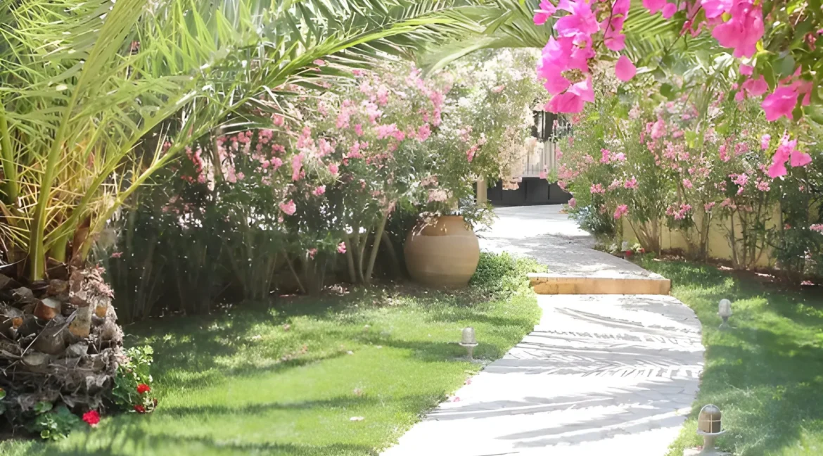 Luxury villa at Porto Cheli Greece 5