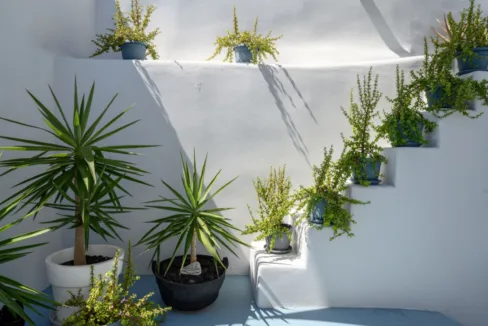 Detached House for sale Santorini, Mesaria