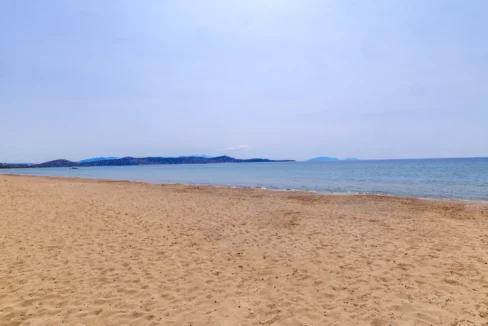 footprints-schoinias-beach-attica_13