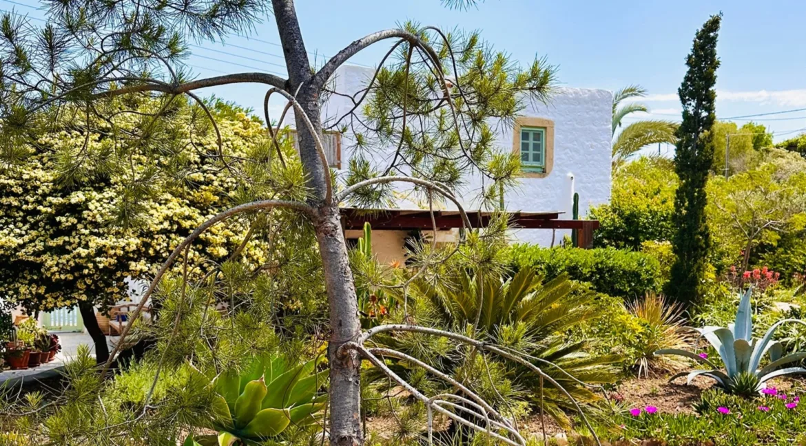 1900xxs_exceptional-waterfront-estate-on-grikos-_08