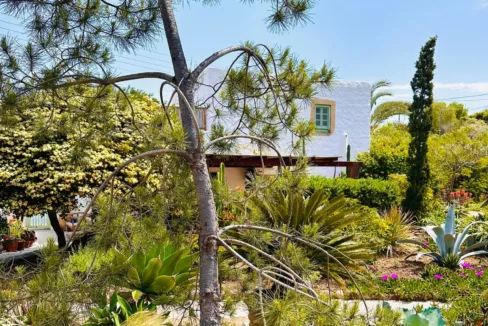 1900xxs_exceptional-waterfront-estate-on-grikos-_08