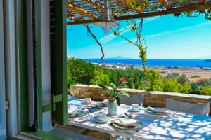 Sea View Estate for Sale in Paros
