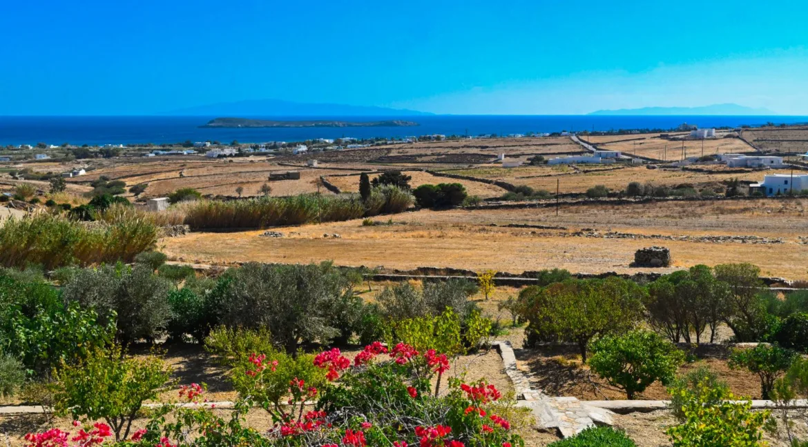 sea-view-estate-for-sale-in-paros-96321852_18