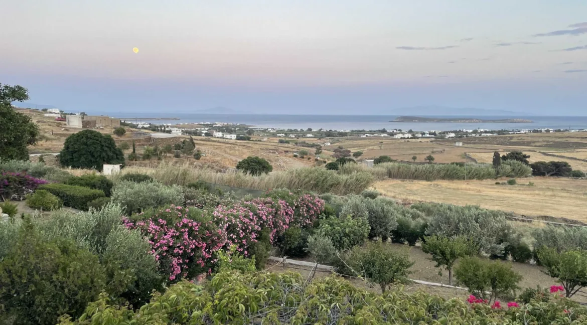 sea-view-estate-for-sale-in-paros-96321852_19