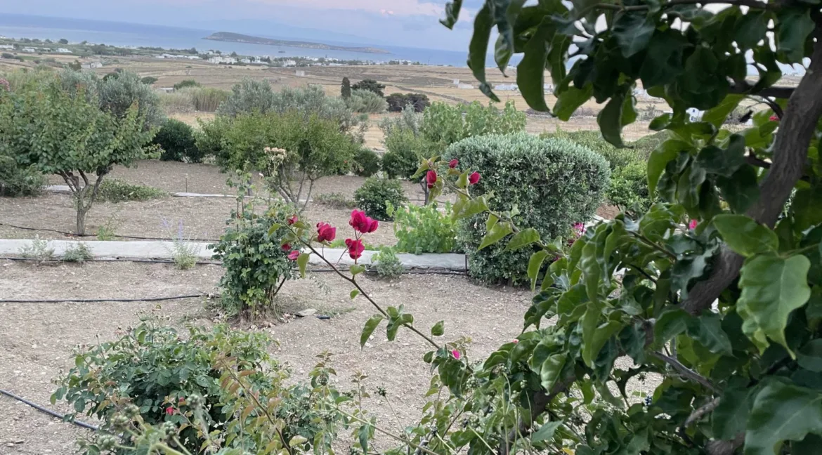 sea-view-estate-for-sale-in-paros-96321852_20