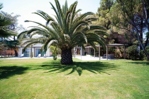 Beachfront Villa with Garden Sithonia — Halkidiki 12