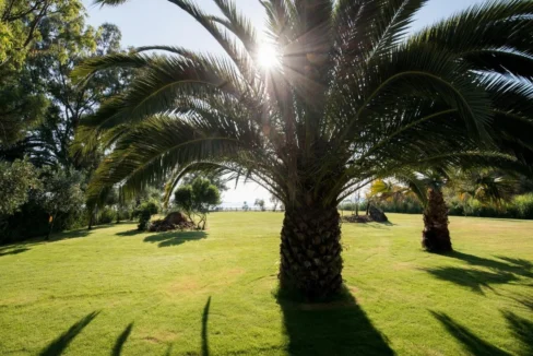 Beachfront Villa with Garden Sithonia — Halkidiki 9