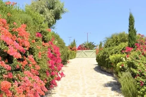 beautiful-villa-for-sale-in-mykonos-17930721_08