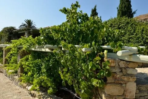 beautiful-villa-for-sale-in-mykonos-17930721_12