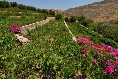 beautiful-villa-for-sale-in-mykonos-17930721_13