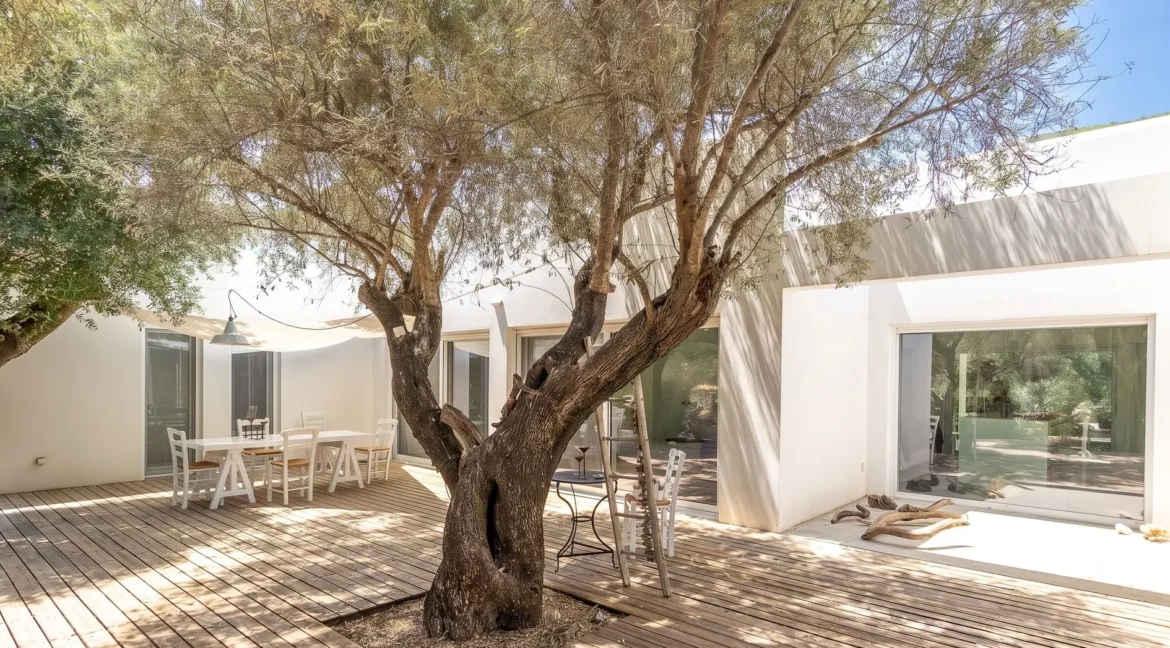 Villa for Sale in Lefkada, Sivota, Olive Grove Estate