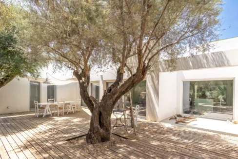 Villa for Sale in Lefkada, Sivota, Olive Grove Estate