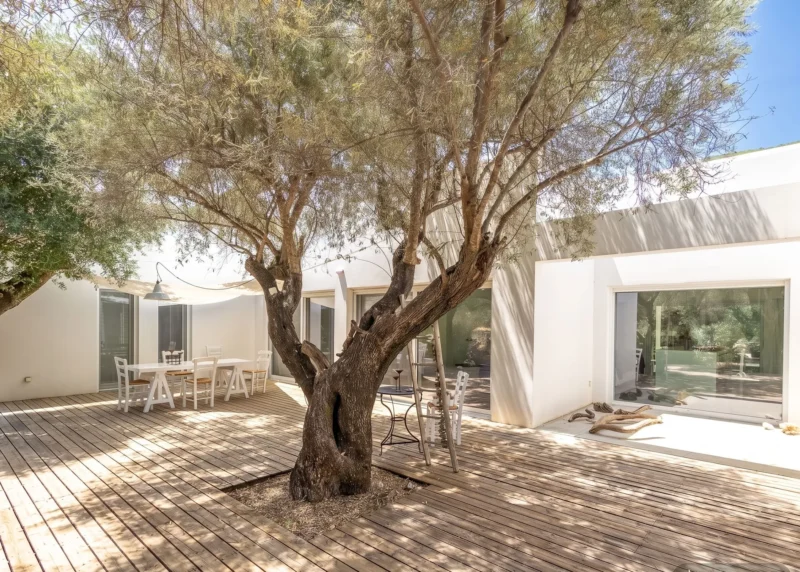 Villa for Sale in Lefkada, Sivota, Olive Grove Estate