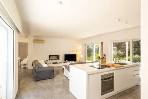 Villa for Sale in Lefkada, Sivota, Olive Grove Estate