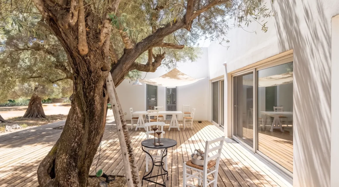 Villa for Sale in Lefkada, Sivota, Olive Grove Estate