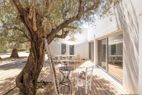 Villa for Sale in Lefkada, Sivota, Olive Grove Estate