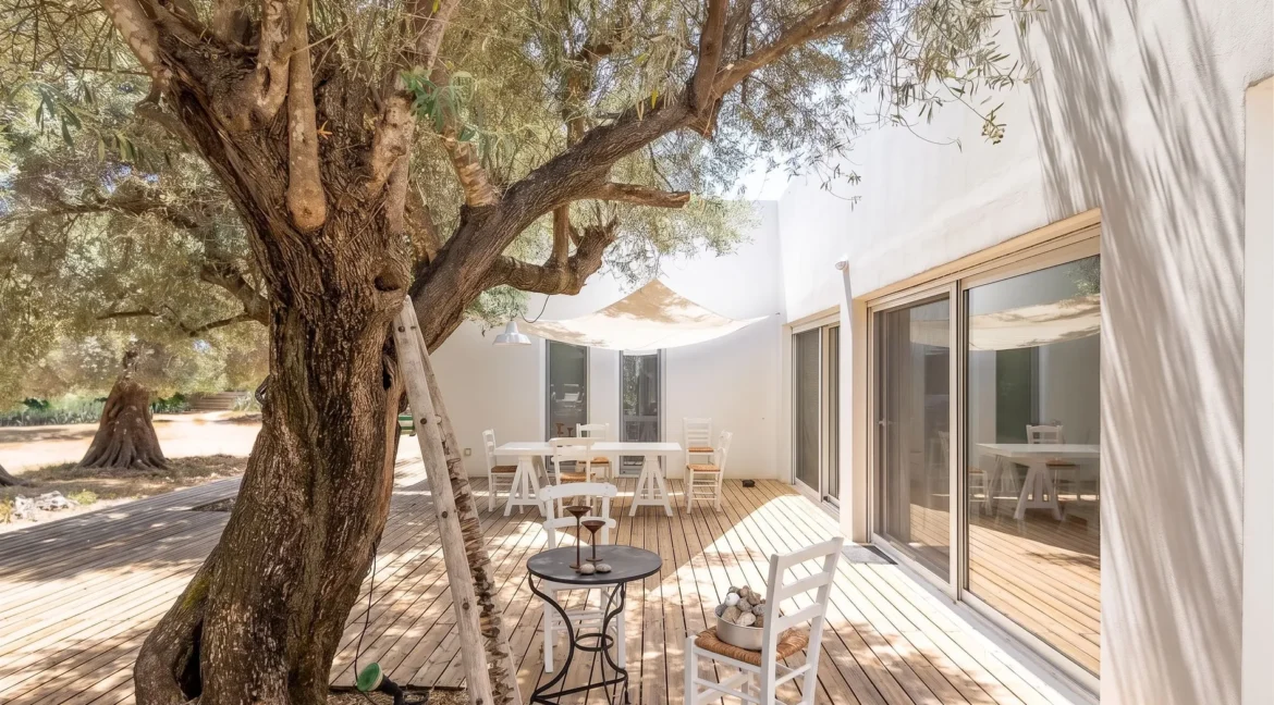Villa for Sale in Lefkada, Sivota, Olive Grove Estate