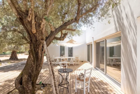Villa for Sale in Lefkada, Sivota, Olive Grove Estate
