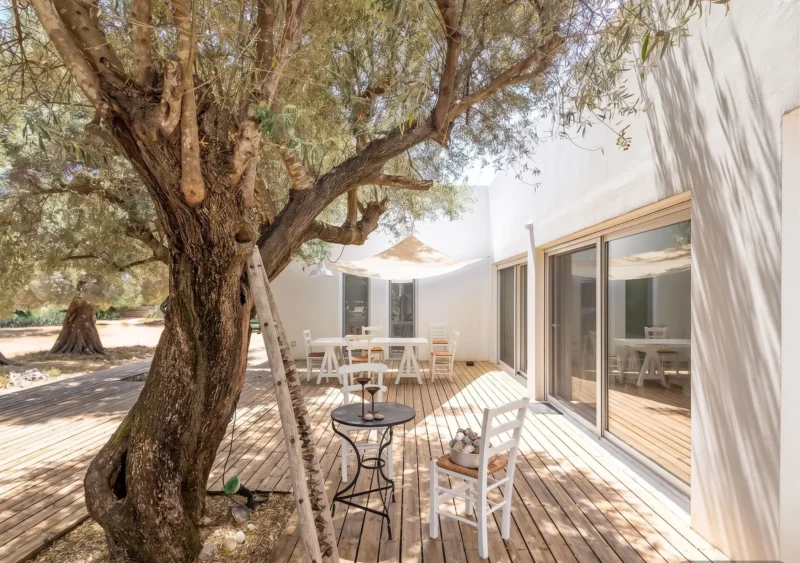 Villa for Sale in Lefkada, Sivota, Olive Grove Estate