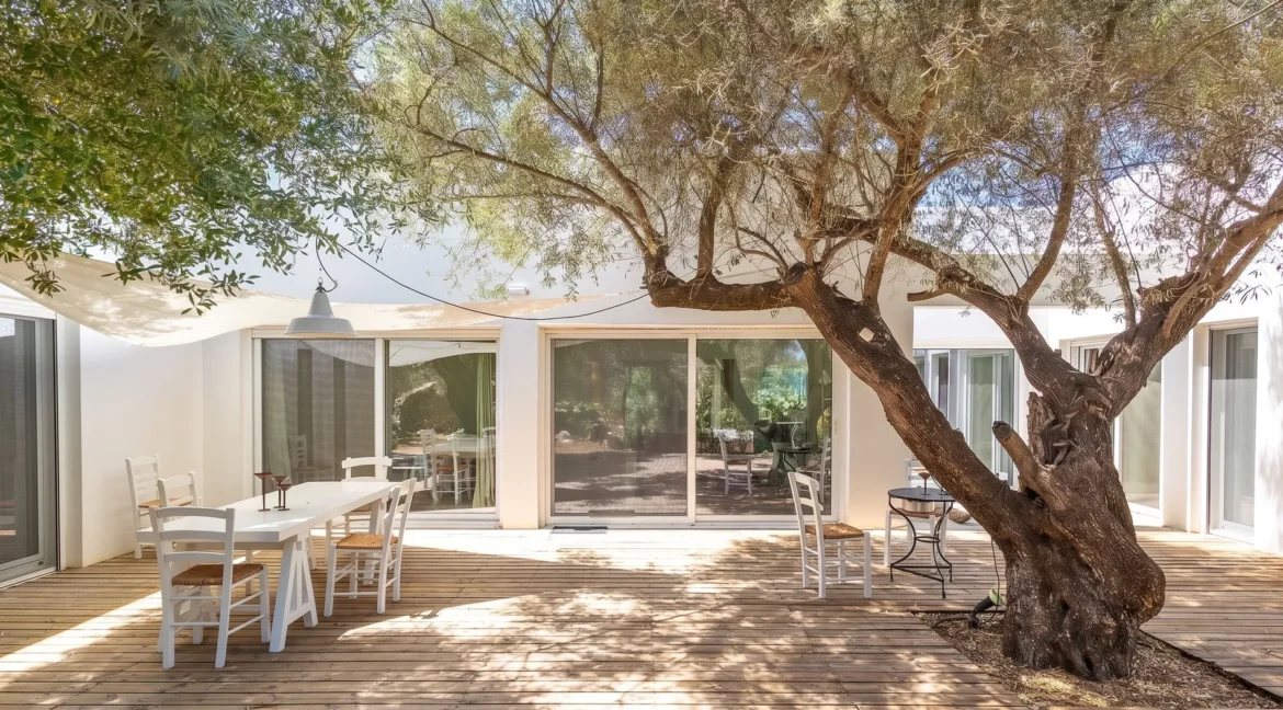 Villa for Sale in Lefkada, Sivota, Olive Grove Estate