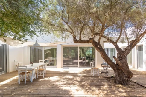 Villa for Sale in Lefkada, Sivota, Olive Grove Estate