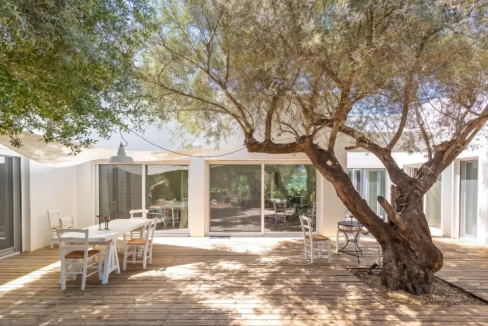 Villa for Sale in Lefkada, Sivota, Olive Grove Estate