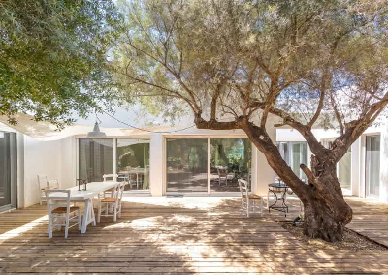 Villa for Sale in Lefkada, Sivota, Olive Grove Estate