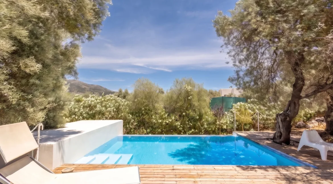 Villa for Sale in Lefkada, Sivota, Olive Grove Estate