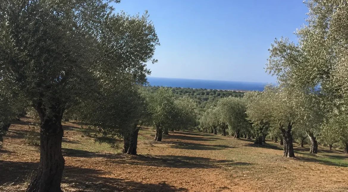 villa-for-sale-in-rhodes-rv-1679_15