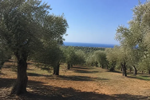 villa-for-sale-in-rhodes-rv-1679_15